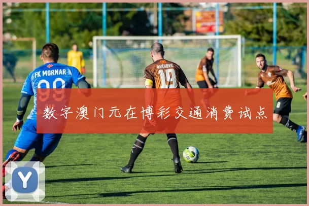 数字澳门元在博彩交通消费试点