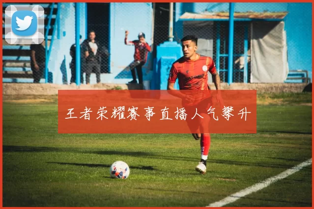 王者荣耀赛事直播人气攀升