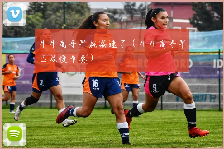 牛牛高手早就减速了（牛牛高手早已放慢节奏）