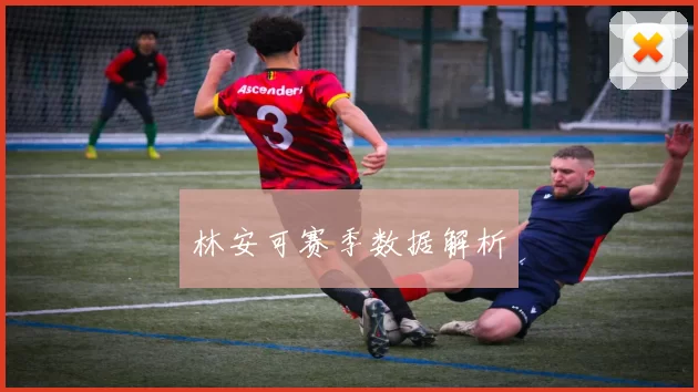 林安可赛季数据解析