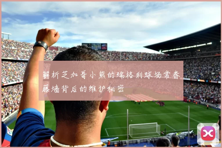 解析芝加哥小熊的瑞格利球场常春藤墙背后的维护秘密