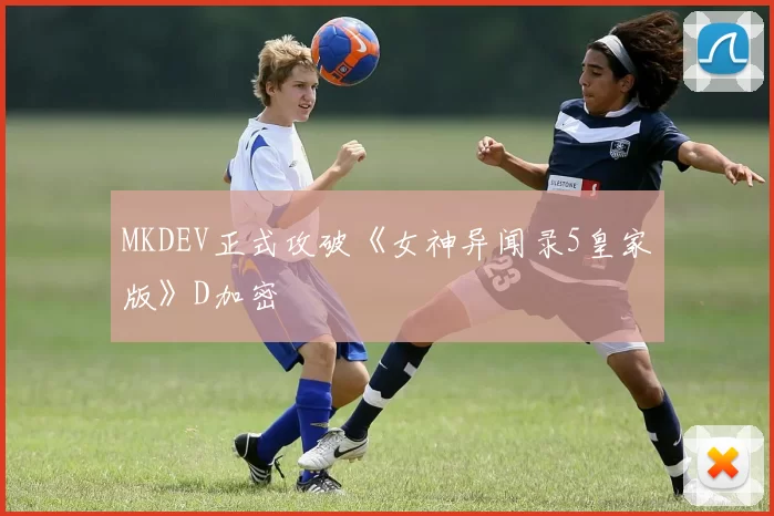 MKDEV正式攻破《女神异闻录5皇家版》D加密