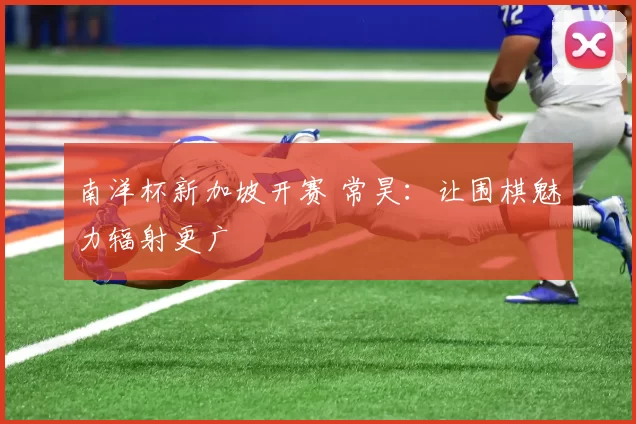 南洋杯新加坡开赛 常昊：让围棋魅力辐射更广
