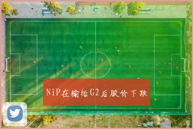 NiP在输给G2后股价下跌