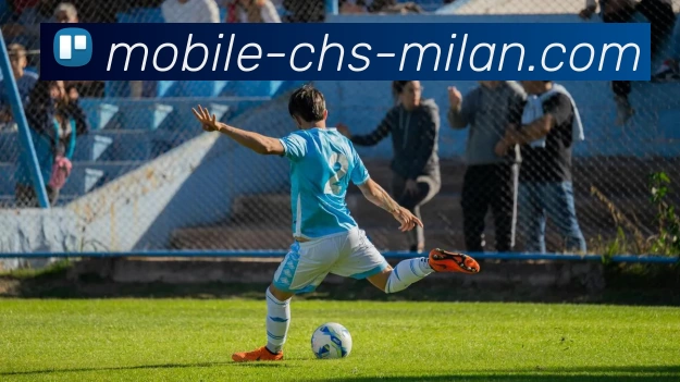 米兰体育app平台生态图