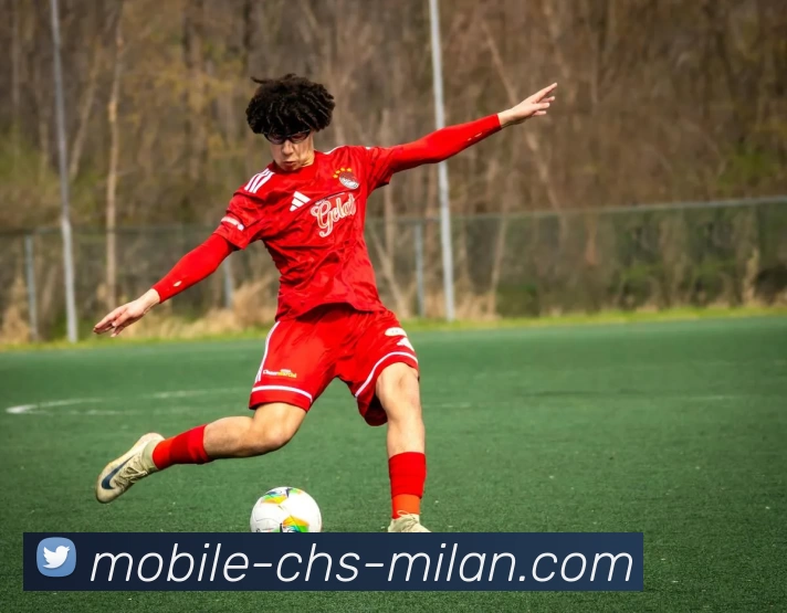 米兰体育appAPP 封面图